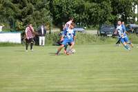 jabkenice 17